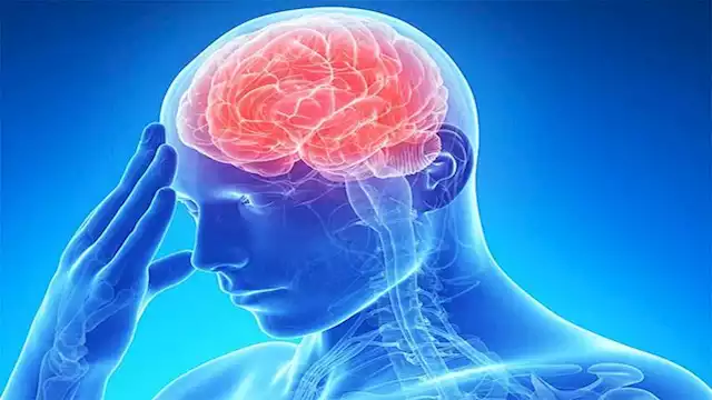 هل المخدرات تزيد خطر السكتة الدماغية؟ 1 2024 4 16 14 17 5 121
