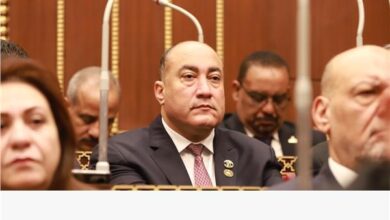 برلماني: نصر العاشر من رمضان سيظل رمز الإرادة المصرية الصلبة 5 20260228225649276