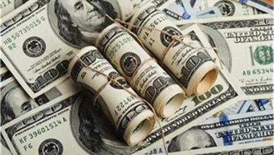 الدولار يتخطى حاجز الـ50 جنيهاً في بداية تعاملات اليوم 4 مارس 4 20260304113655411