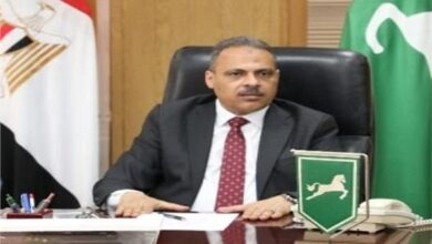 محافظ الشرقية يعلن عن 1874 فرصة عمل في المناطق الصناعية بالمحافظة 4 20260304130430095