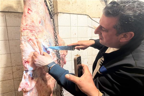 بيطري الغربية يضبط لحوم مذبوحة خارج المجازر و570 كيلو دهون قبل بيعها للمطاعم 1 20260307013617021