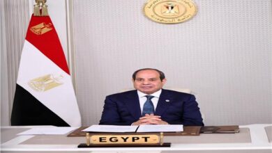 برلمانية: القيادة السياسية المصرية تواصل أداء دورها المحوري في دعم الاستقرار الإقليمي 2 20260313235650211