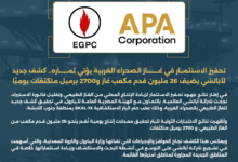 البيان 4