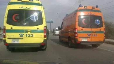 بسبب السرعة.. جثه و10 مصابين في حادث تصادم سيارة نقل بتروسيكل بالمنيا 6 2025 12 25 14 5 10 13