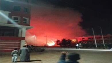 الحماية المدنية بالغربية تسيطر على حريق هائل بحديقة في السنطة 4 20260419025244735