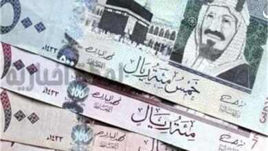 استقرار أسعار العملات العربية في بداية تعاملات اليوم 2 مايو 2026 5 ريال سعودى