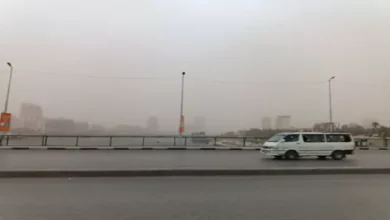 "أجواء متقلبة".. الأرصاد: ارتفاع في الحرارة ورياح مثيرة للأتربة حتى الثلاثاء 5 2026 3 14 14 45 36 56