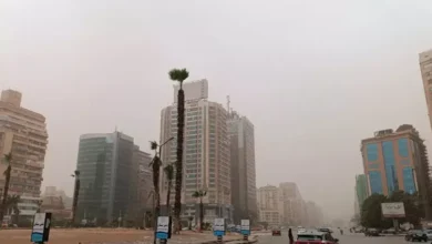 2026 4 10 23 10 36 516