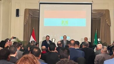 «هاشم السيد»: دمج الشركات المتشابهة وتنظيم المتعثرة وطرح الناجحة من مهام الوحدة 4 29701098811491202604020210191019