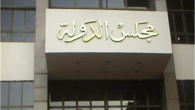 "الدوري في المحكمة".. دعوى قضائية تطالب بإلغاء نظام الهبوط وتعديل المسابقة 5 20260504161707597