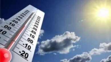 «الأرصاد»: طقس اليوم ربيعي وارتفاع تدريجي بدرجات الحرارة الأسبوع المقبل 6 20260508101506842