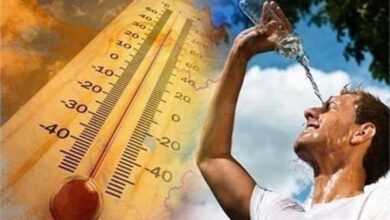 جنوب الصعيد يسجل 43 درجة.. «الأرصاد» تعلن درجات الحرارة المتوقعة اليوم 5 20260512220900597