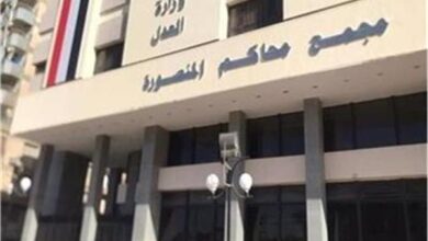 أمام جنايات المنصورة اليوم.. بدء محاكمة مسن بالتعدي على طفلة من ذوي الهمم 2 20260517024810969