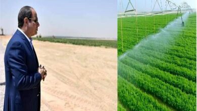 من التخطيط إلى التنفيذ.. كيف يعزز مشروع الدلتا الجديدة الاقتصاد؟ 4 20260518153028993