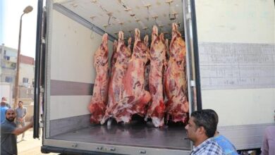 تعرف على مجازر القاهرة التي تستقبل ذبح الأضاحي 5 20260526112956428