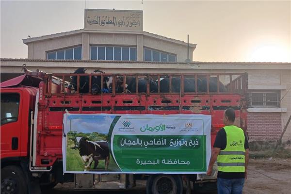 البحيرة ..غدًا نحر 75 عجلاً في مجزر أبو المطامير وتوزيعها على الأسر الأكثر إحتياجًا 1 20260526121609150