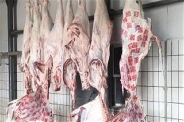رابع أيام عيد الأضحى المبارك.. ضبط 190 كيلو لحوم منتهية الصلاحية بالشرقية 1 20260530135457173