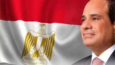 الرئيس عبد الفتاح السيسي