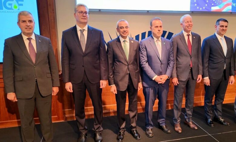 مصر تدعو إلى إعادة تفعيل محادثات تنمية موارد الغاز الفلسطينية البحرية دعماً لمستقبل الشعب الفلسطيني الشقيق 1 7940d0f6 35ca 471e a30e dfa38155463e