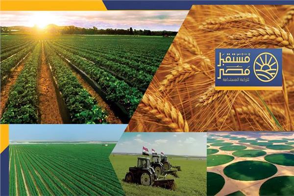 بعد موافقة النواب.. كيف يعزز «جهاز مستقبل مصر» التنمية والاكتفاء الذاتي؟ 1 20260714180734345