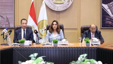 إطلاق خدمة «تراخيص المحال العامة» عبر منصة مصر الرقمية.. تفاصيل 4 20260728064815478