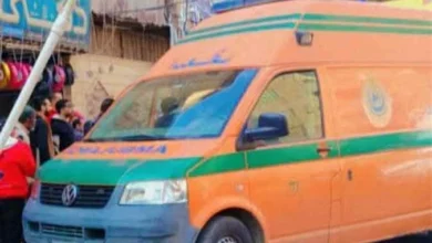بسبب مشروع تجاري.. إحالة المتهم بـ «ذبح زوجته» في عين شمس للمحاكمة الجنائية 5 1944459