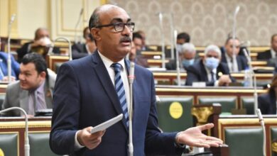 النائب إيهاب منصور: أزمة سيستم المعاشات كارثة كبيرة.. في ناس مش لاقية تاكل وبطَّلت تجيب دواء 44 20220520080043043