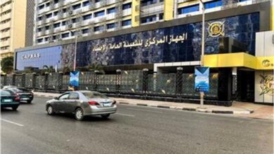 بمناسبة يومهم العالمي.. 47.1% مساهمة الشباب في قوة العمل بمصر 4 20260812132310162