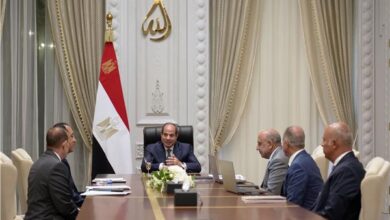 توجيهات رئاسية بتنمية التصنيع المحلي لصناعات الرمال السوداء والأسمدة والعناصر النادرة 2 20260812141605975