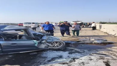 إصابة 9 موظفين بالطيران المدني في حادث تصادم أعلى "بنها الحر" 3 2026 8 16 18 23 45 387