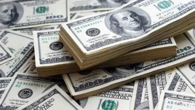 بعد قرار الفائدة..أسعار الدولار أمام الجنيه اليوم الأحد 23 أغسطس في البنوك 5 IMG 3674