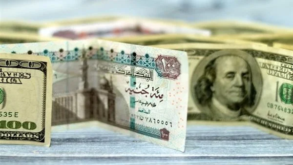 استقرار أسعار الدولار أمام الجنيه المصري بالبنوك 1 IMG 3706