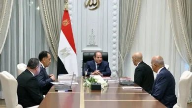 السيسي يوجه بإعداد كوادر مؤهلة تتواكب مع احتياجات سوق العمل المحلي والدولي وإطلاق مبادرات لدعم الموهوبين ورعاية النوابغ 3 IMG 3733